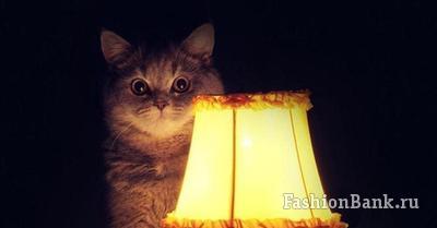 ������ ����� Darling