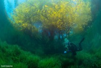 �������� National Geographic - ������ �����