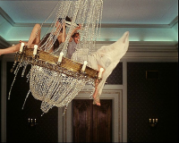 FASHION CINEMA: �����  �����������