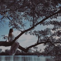 ���������� ������� �� ����: 
