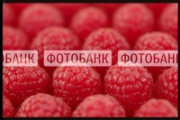 Семинар «Стоковая фотография»