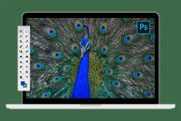 23 ������. Adobe Photoshop. ����������� ��������