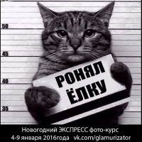 �������� ��������� - ���������� ��������� �� ����� ���������