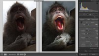 ������-���� ��������� ���������� � Lightroom