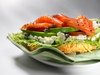 ���� ��������� �������� 