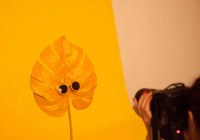 Фотограф в Fashion Media